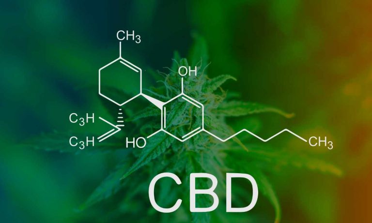 cbd kannabidiol