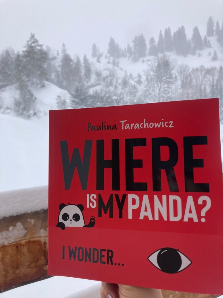 Książka do nauki angielskiego Where is my panda