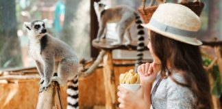 Co daje dzieciom obcowanie ze zwierzątkami w ZOO?
